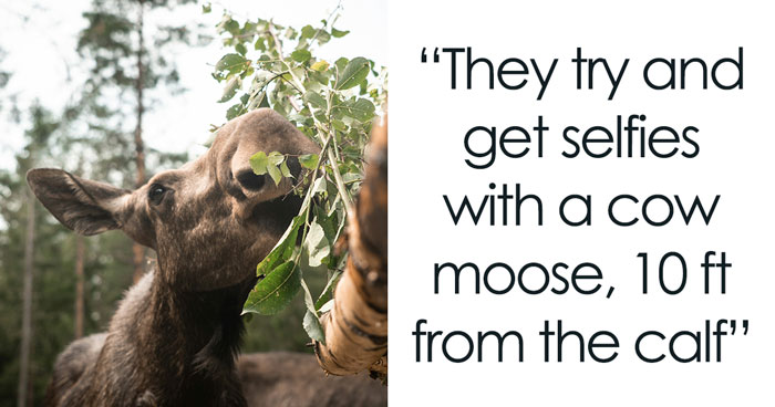 24 Canadians List Most Common Signs That Show Them Someone Is A Tourist