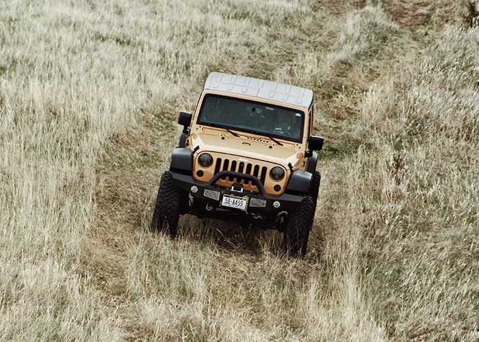 Woman Prevents Random Truck From Passing Through Her Property By Hiding Star Pickets In Her Lawn
