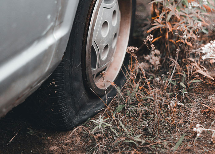 Woman Prevents Random Truck From Passing Through Her Property By Hiding Star Pickets In Her Lawn