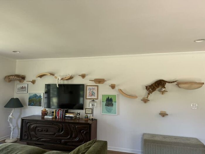 Cat-Friendly-Environments-Catification