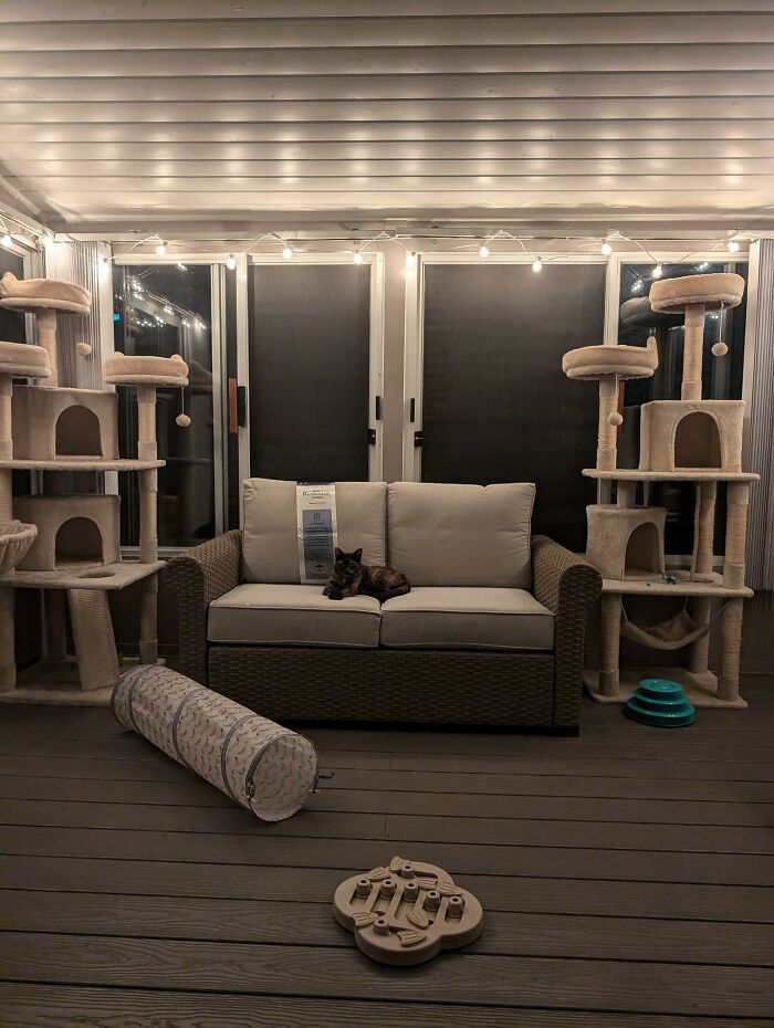 Cat-Friendly-Environments-Catification