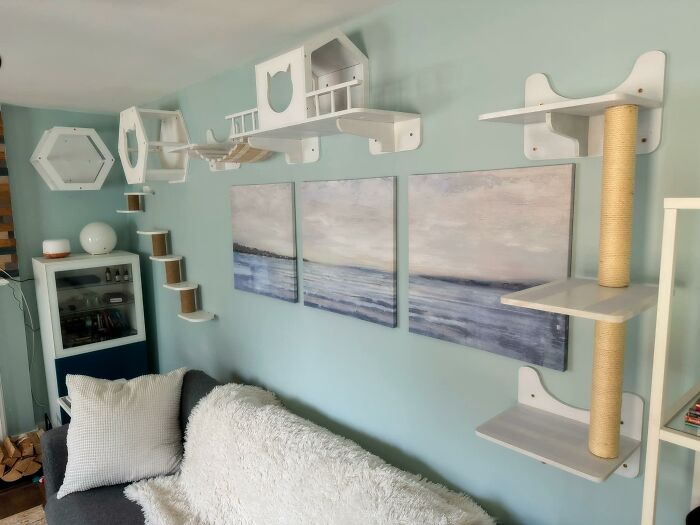 Cat-Friendly-Environments-Catification