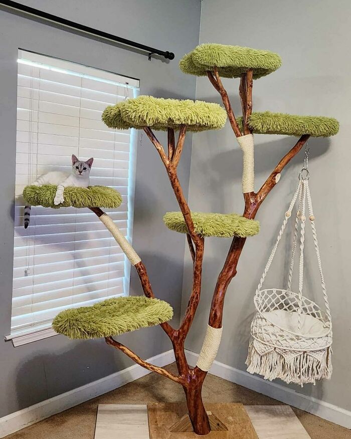 Cat-Friendly-Environments-Catification