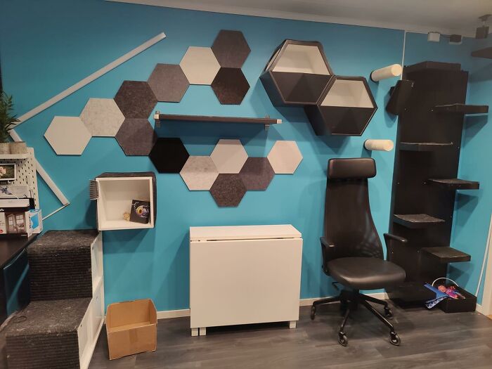 Cat-Friendly-Environments-Catification