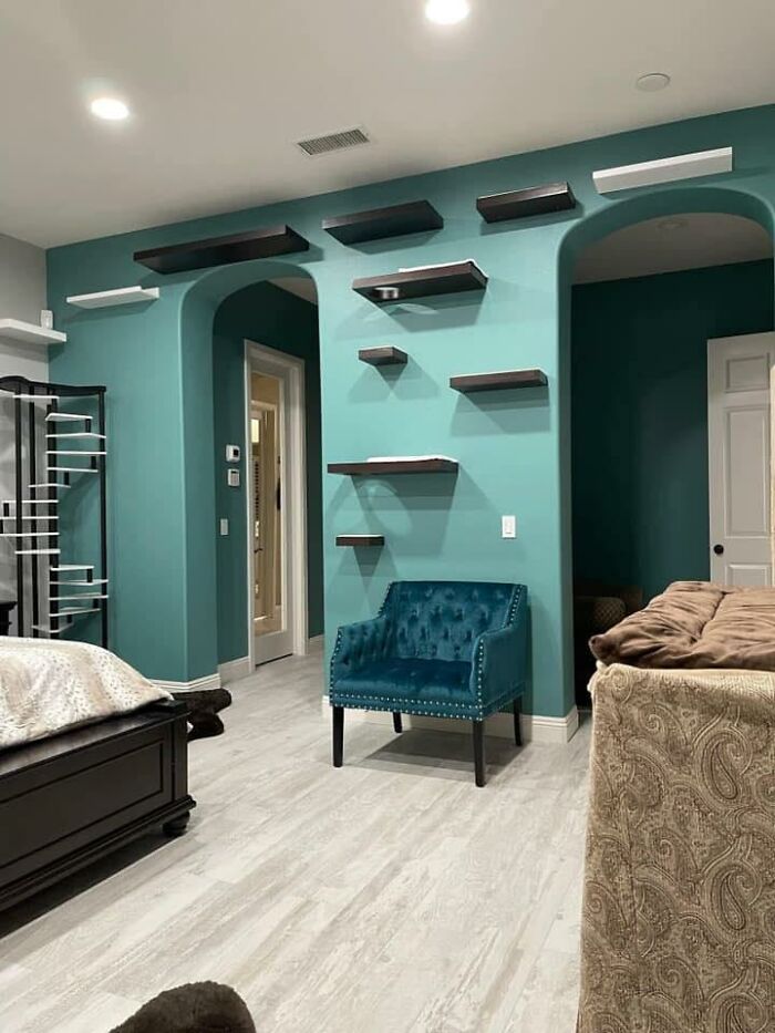 Cat-Friendly-Environments-Catification