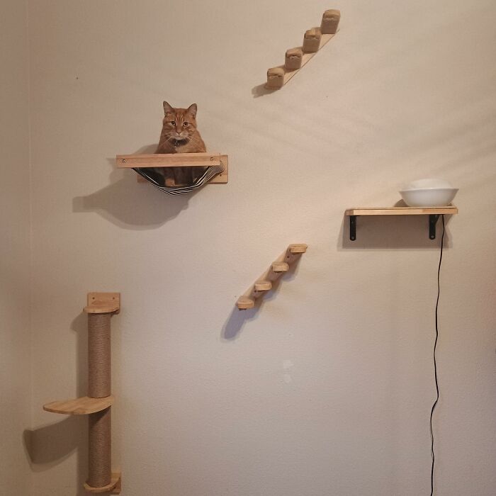 Cat-Friendly-Environments-Catification