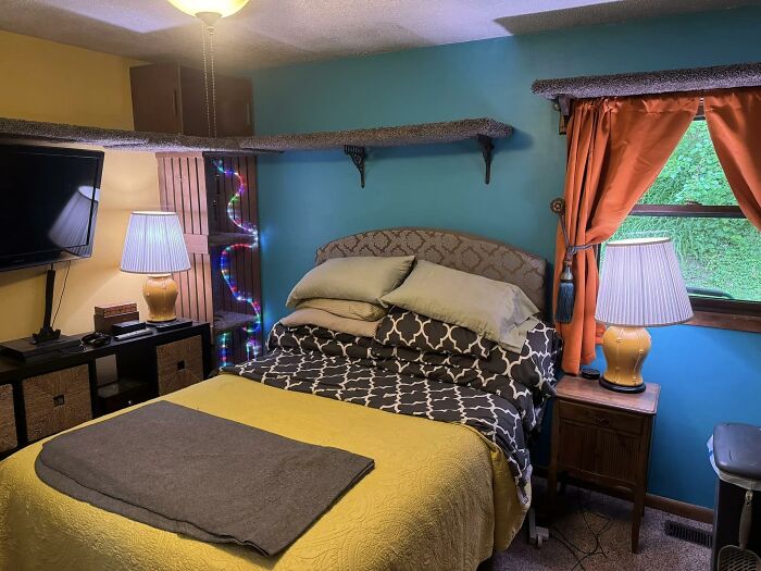 Cat-Friendly-Environments-Catification