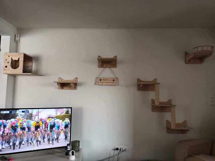 Cat-Friendly-Environments-Catification