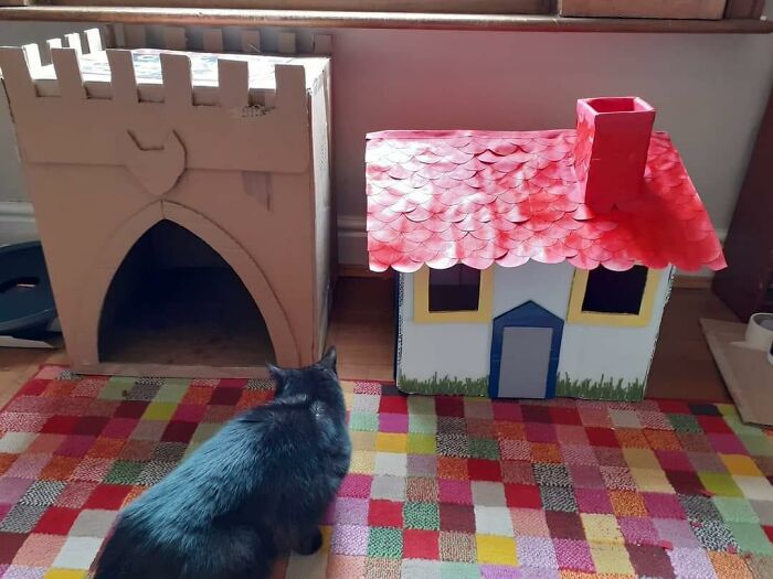 Cat-Friendly-Environments-Catification