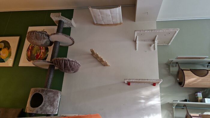 Cat-Friendly-Environments-Catification