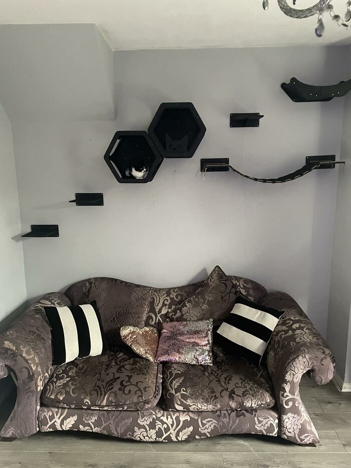 Cat-Friendly-Environments-Catification