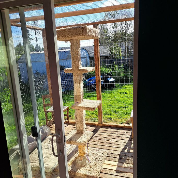 Cat-Friendly-Environments-Catification