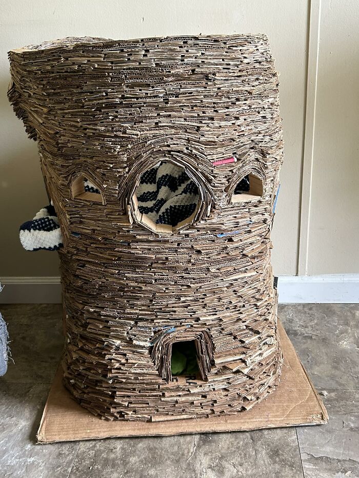 Cat-Friendly-Environments-Catification