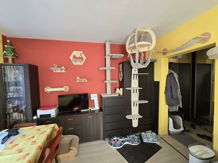 Cat-Friendly-Environments-Catification