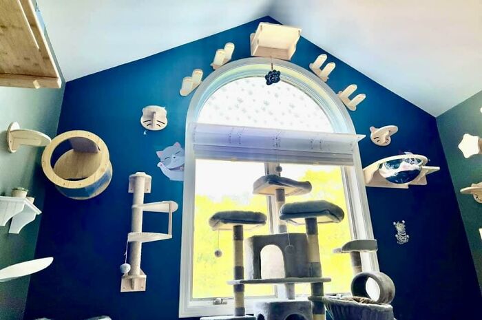 Cat-Friendly-Environments-Catification