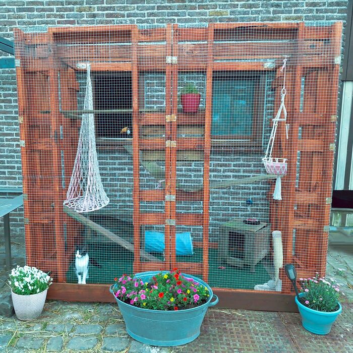 Cat-Friendly-Environments-Catification