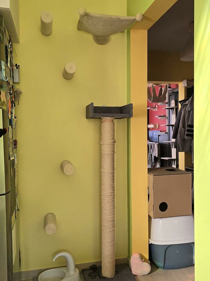 Cat-Friendly-Environments-Catification