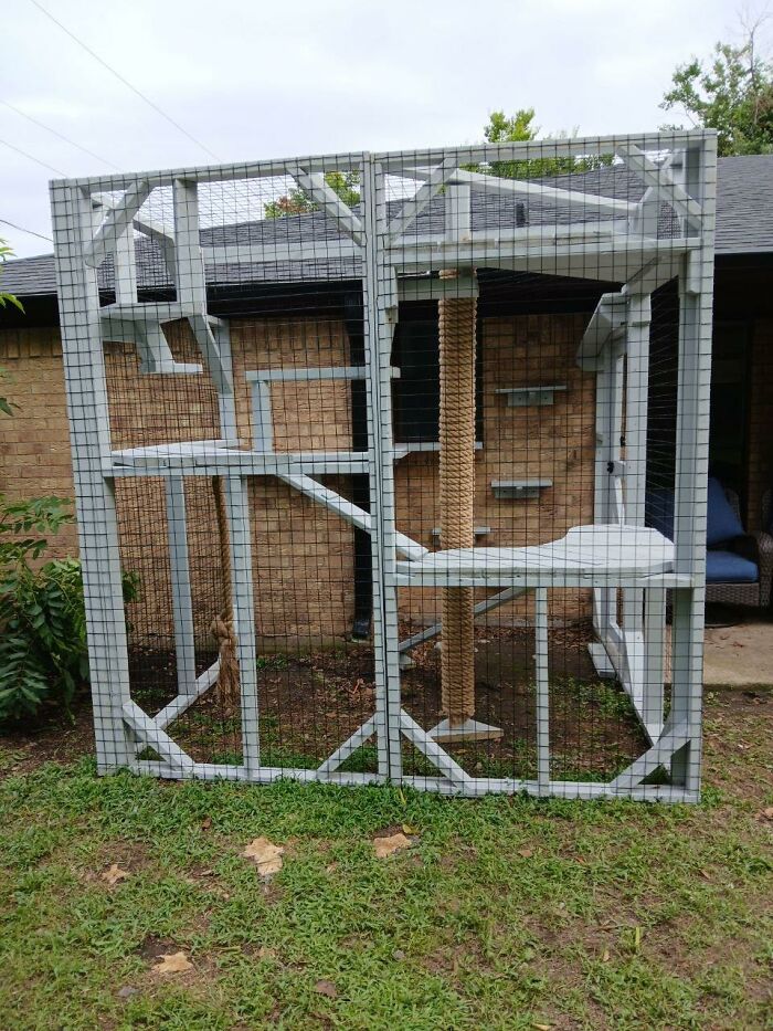 Cat-Friendly-Environments-Catification