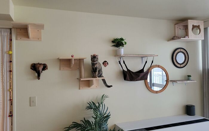 Cat-Friendly-Environments-Catification