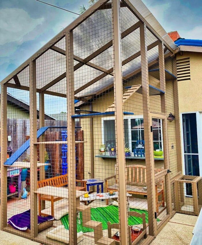 Cat-Friendly-Environments-Catification