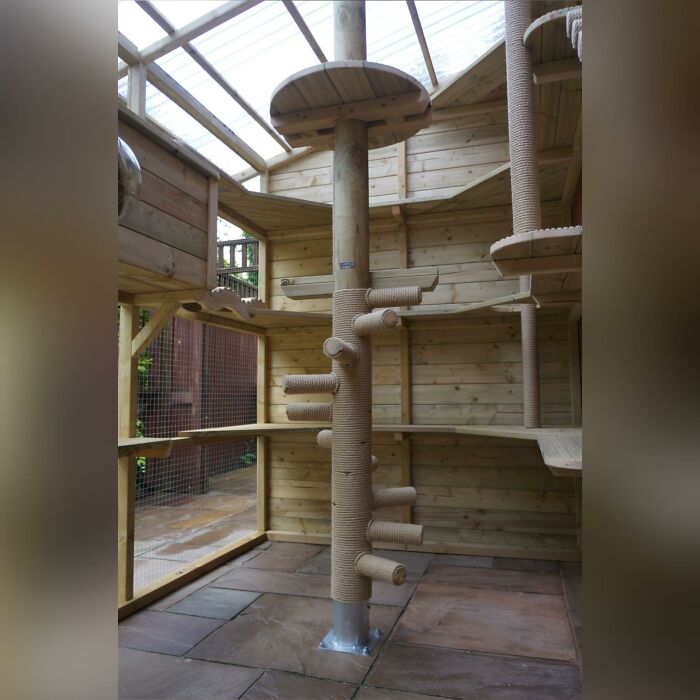 Cat-Friendly-Environments-Catification