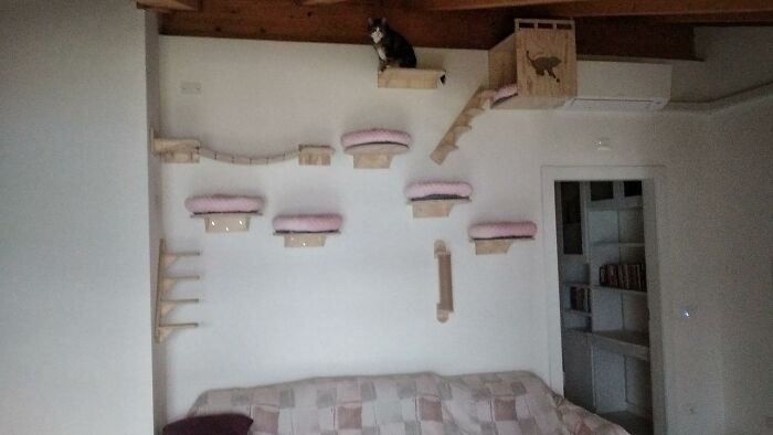 Cat-Friendly-Environments-Catification