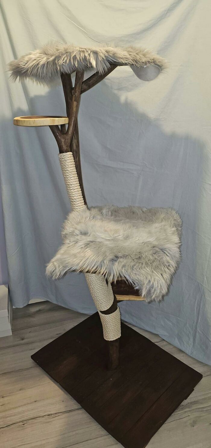 Cat-Friendly-Environments-Catification