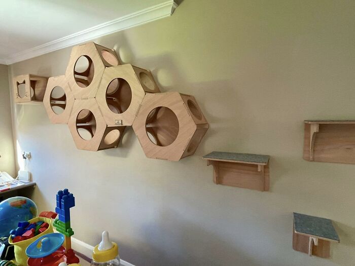 Cat-Friendly-Environments-Catification