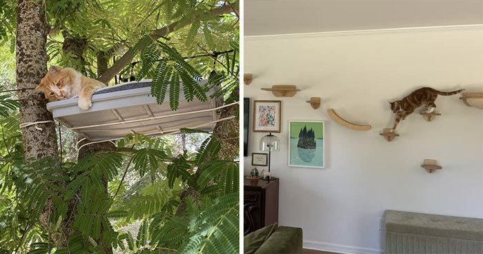 30 Times Creative People Came Up With Cool DIY Ideas To ‘Catify’ Their Homes