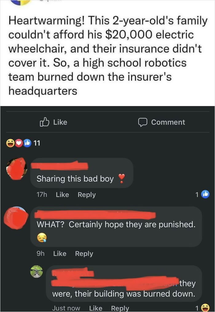 I Know It Is Satire, But I Love The Energy