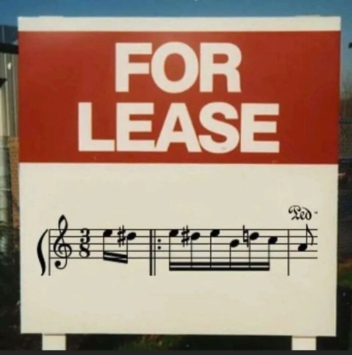 Funny-Unappreciated-Puns