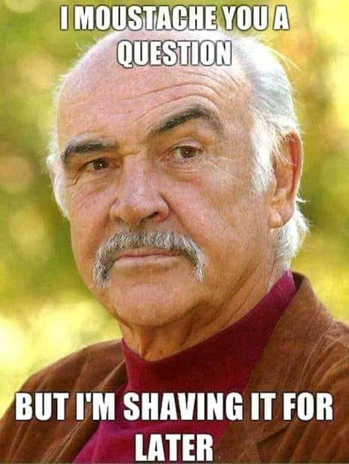 Funny-Unappreciated-Puns