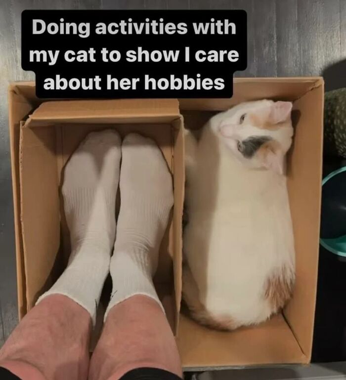 Heartwarming-Wholesome-Meets-The-Internet-Posts