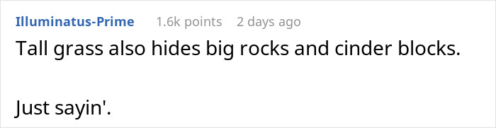 Woman Prevents Random Truck From Passing Through Her Property By Hiding Star Pickets In Her Lawn