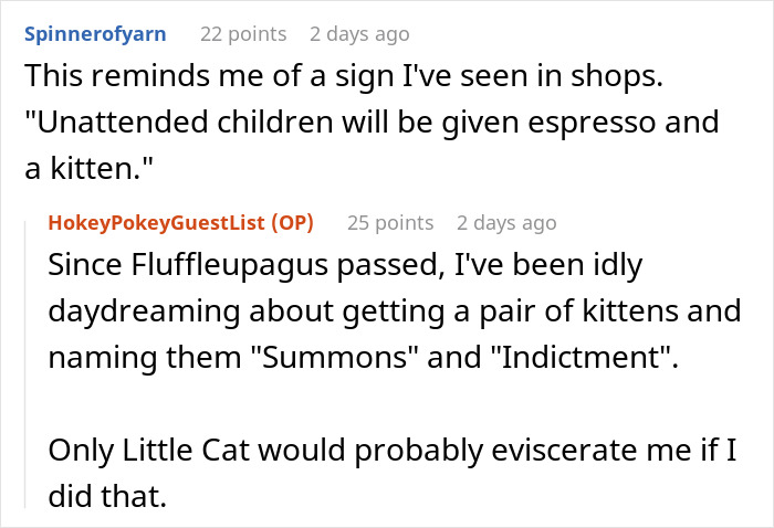 Woman Agrees To Babysit Cousin’s Kids In An Emergency, Takes Revenge After Learning That She Lied Woman Agrees To Babysit Cousin’s Kids In An Emergency, Takes Revenge After Learning That She Lied