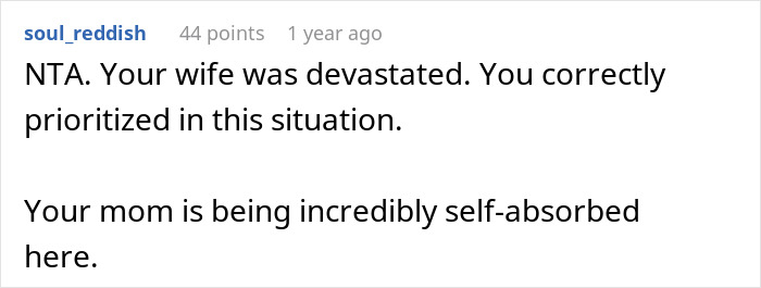 Woman Prioritizes Grieving Wife And Newborn Twins Over Mother&rsquo;s Anniversary, Faces Hell From Her