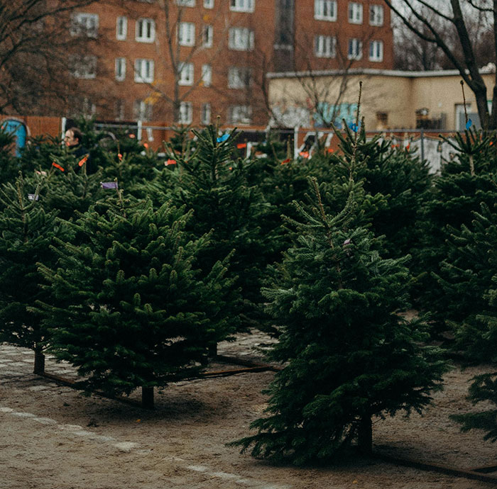 40 Compliments That Left A Lasting Impact On The People Who Received Them