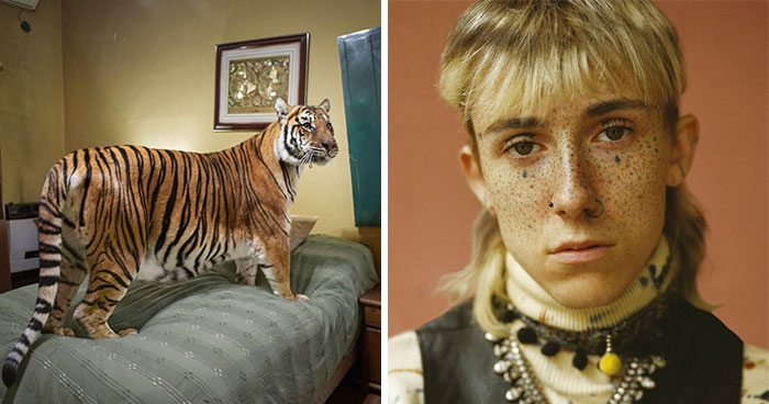 30 Captivating Winning Images Of This Year’s 1839 Awards