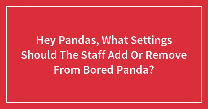 Hey Pandas, What Settings Should The Staff Add Or Remove From Bored Panda? (Closed)