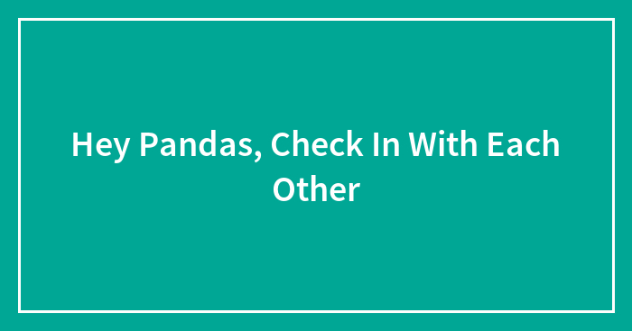 Hey Pandas, Check In With Each Other