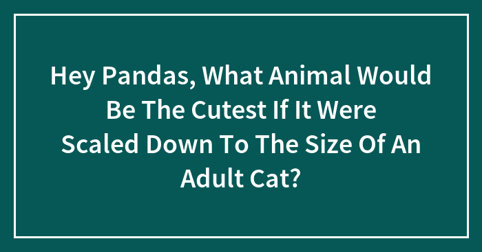 Hey Pandas, What Animal Would Be The Cutest If It Were Scaled Down To The Size Of An Adult Cat? (Closed)