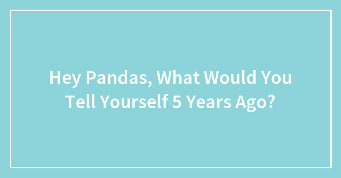 Hey Pandas, What Would You Tell Yourself 5 Years Ago? (Closed)