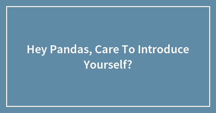 Hey Pandas, Care To Introduce Yourself?