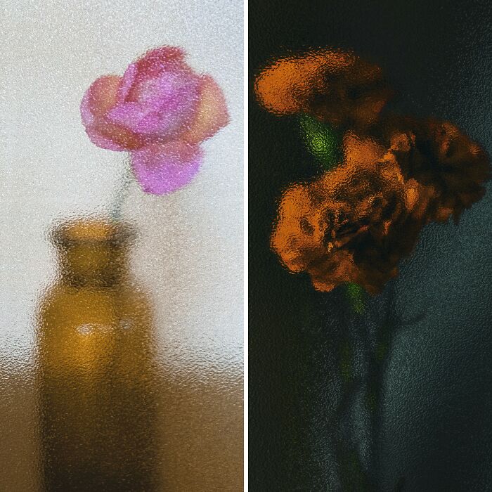 My 11 Photos Capturing The Essence Of Stillness