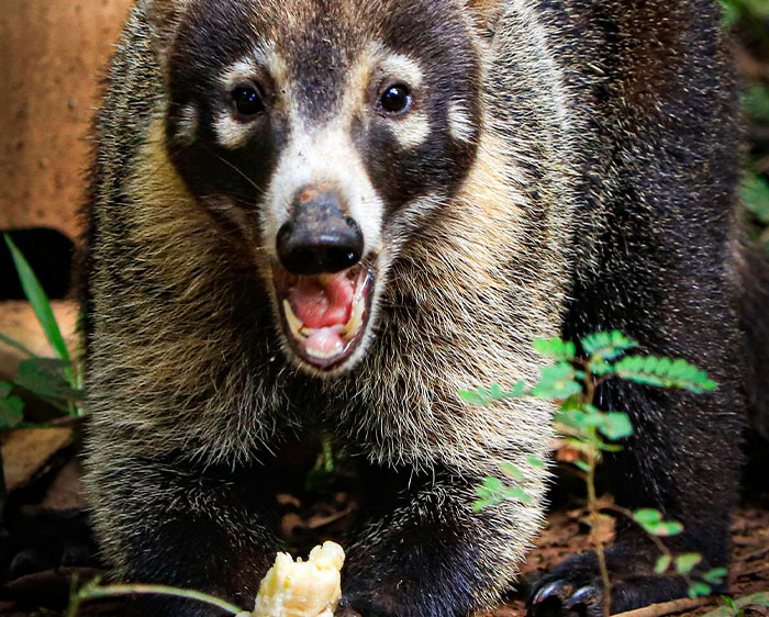 50 Things That Resort Workers Wish They Didn’t Witness