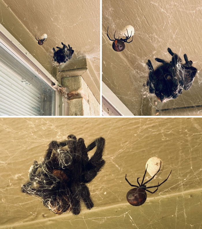 I'm Pretty Sure I Came Across The Scene Of A Crime This Afternoon