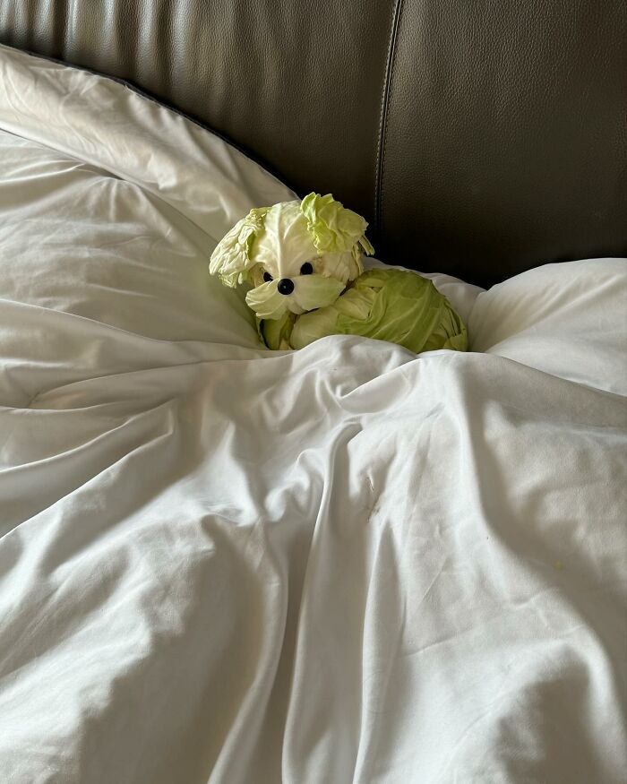 This Korean Food Artist Makes The Cutest Meals You'll Feel Sorry To Eat (New Pics)