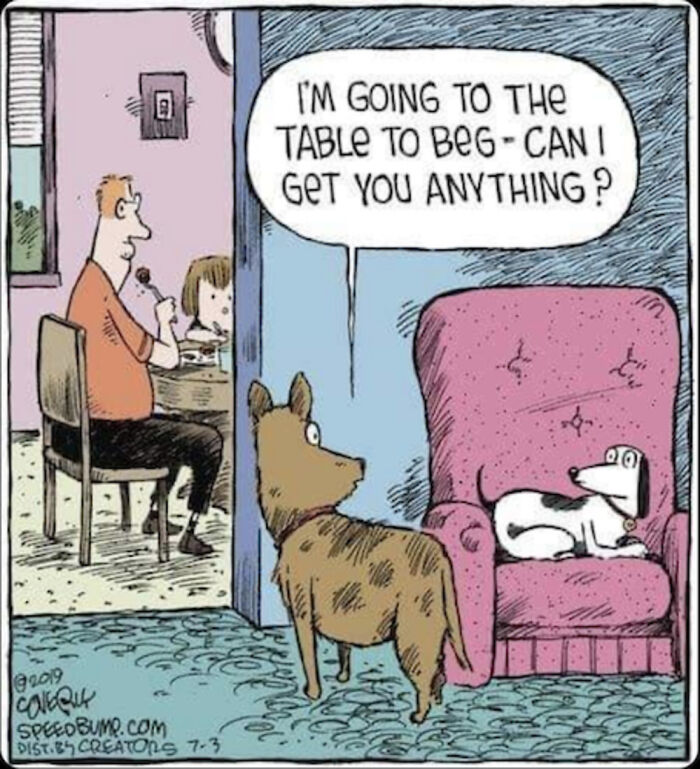 Cartoon from Dave Coverly’s Speed Bump showing two dogs with one asking the other if it wants anything.