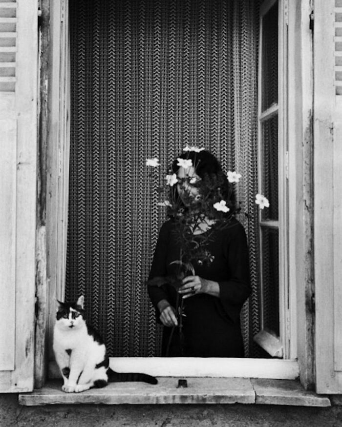 The Best Cat Photographs According To The Street Photographers Foundation (33 Pics)