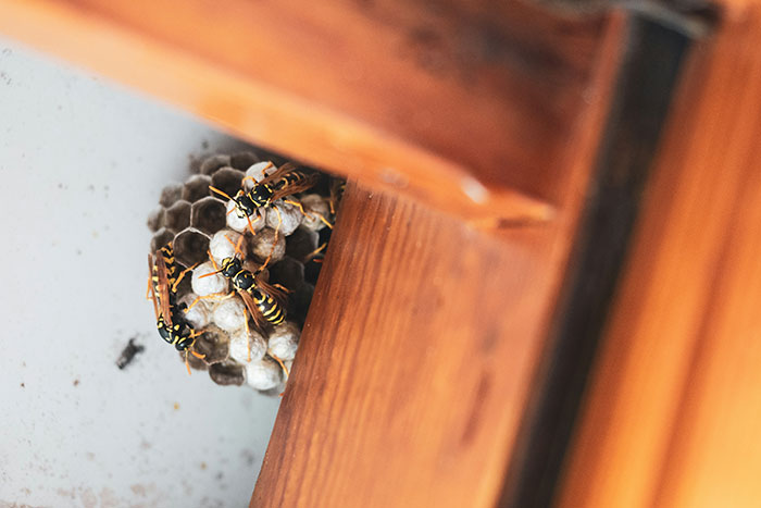 40 Dads That Won Over The Internet By Being Absolutely Epic